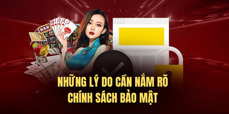 Những lý do cần nắm rõ chính sách bảo mật